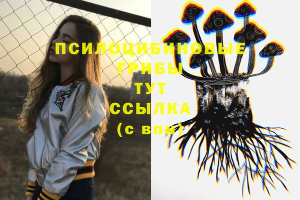 СК Аркадак