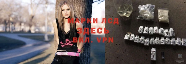 СК Аркадак