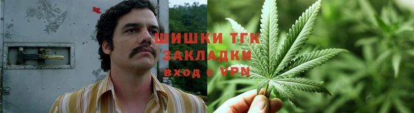 СК Аркадак