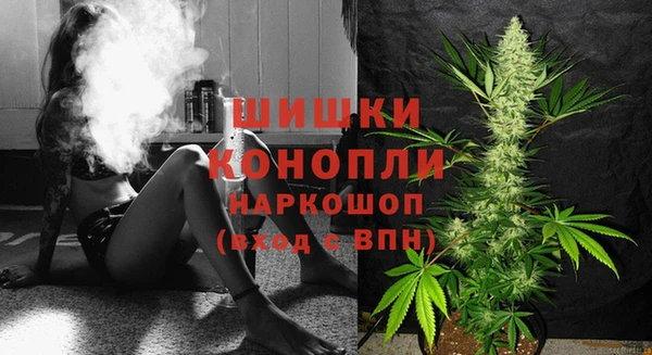 СК Аркадак