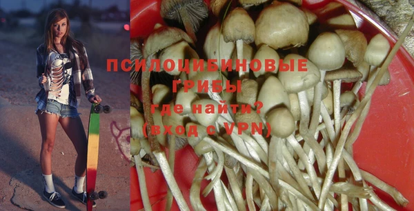 прущие крисы Армянск